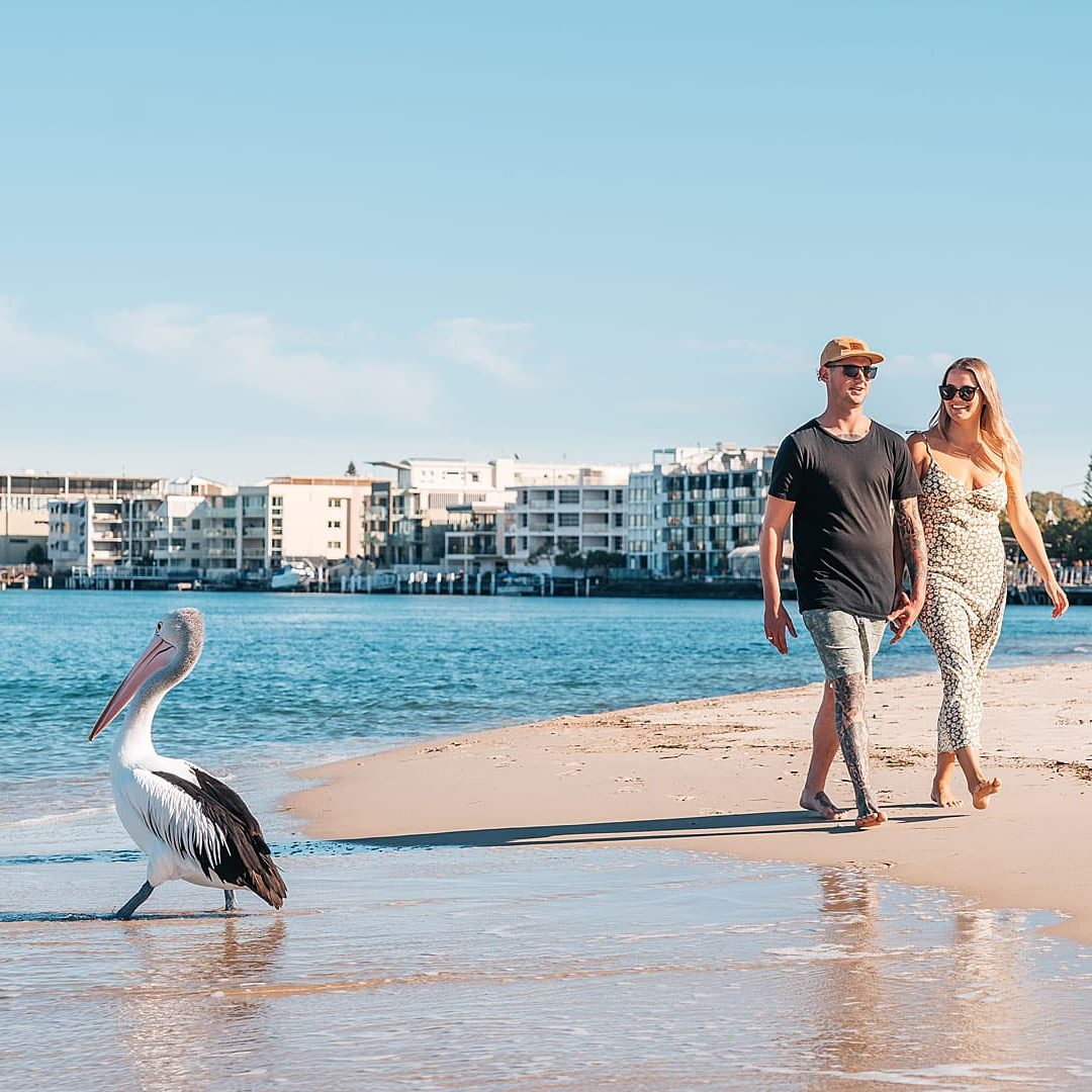 Caloundra-couple-walking-on-beach-pelican